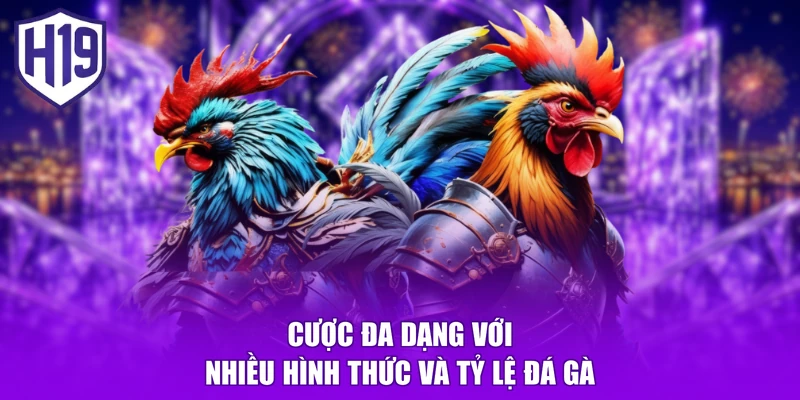 Cược đa dạng với nhiều hình thức và tỷ lệ đá gà