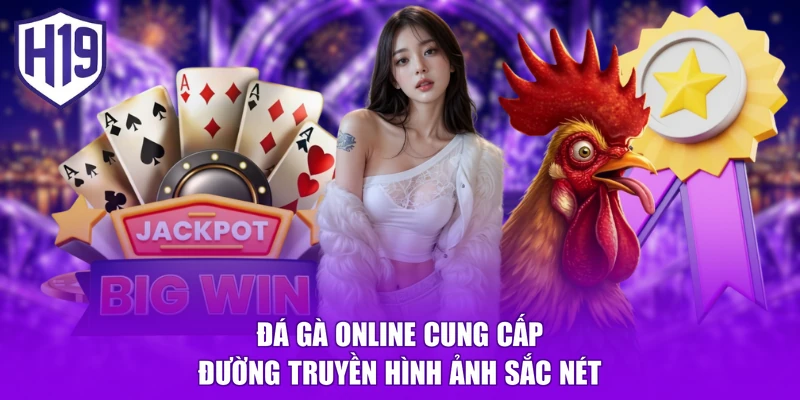 Đá gà online cung cấp đường truyền hình ảnh sắc nét