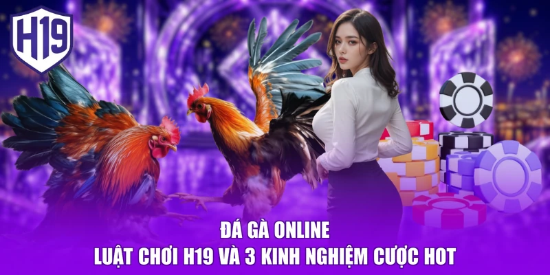 Đá Gà Online | Luật Chơi H19 Và 3 Kinh Nghiệm Cược HOT