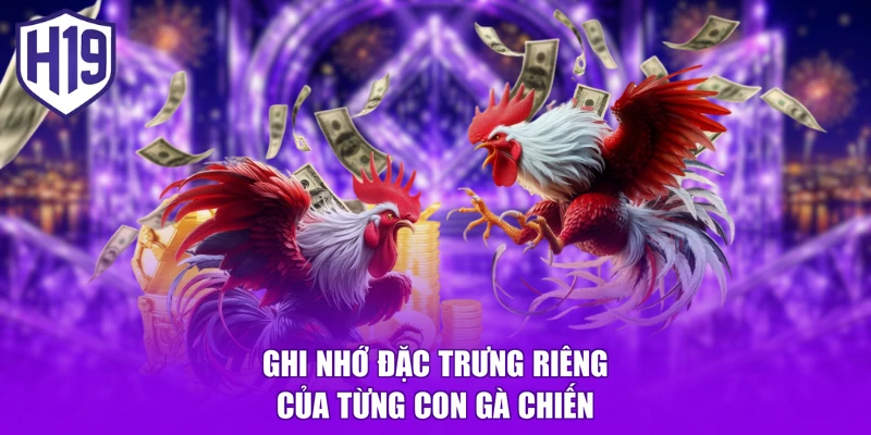 Ghi nhớ đặc trưng riêng của từng con gà chiến