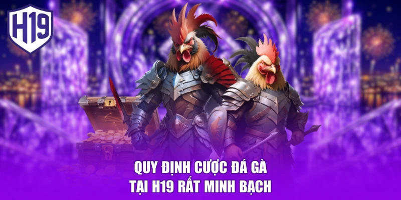 Quy định cược đá gà tại H19 rất minh bạch